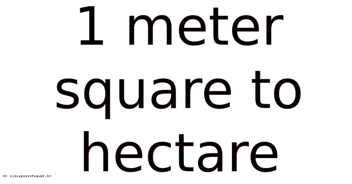 1 Meter Square To Hectare