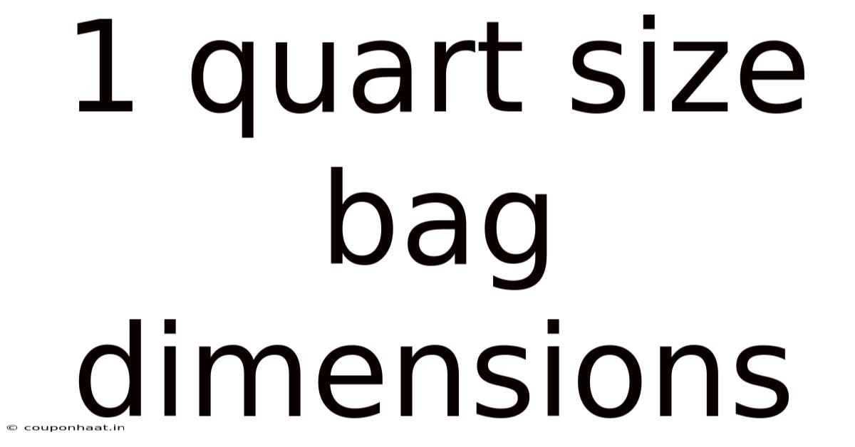 1 Quart Size Bag Dimensions