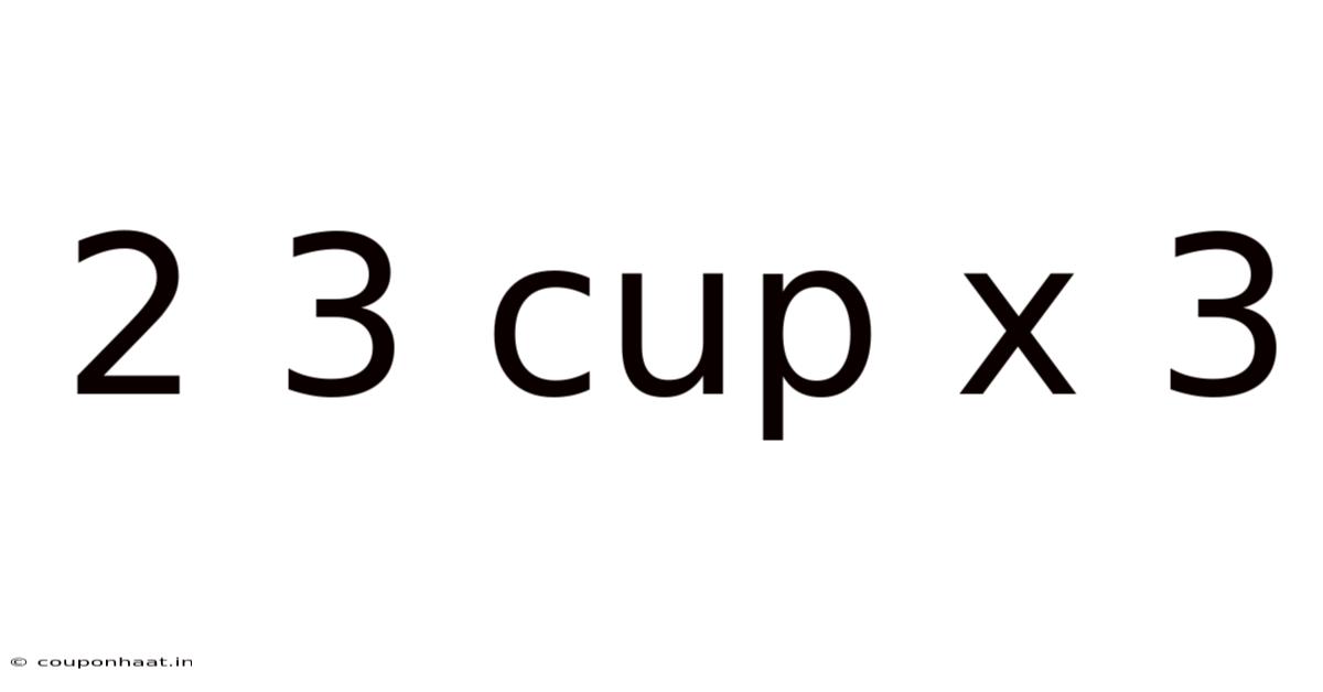 2 3 Cup X 3