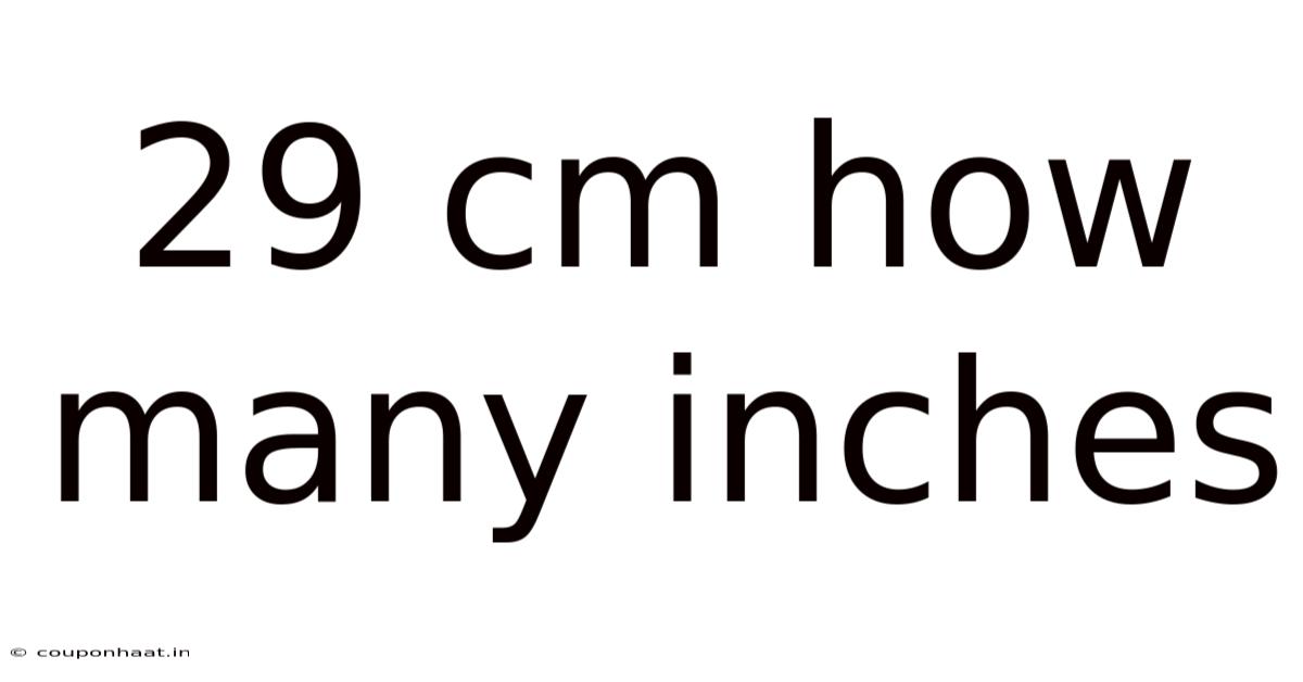 29 Cm How Many Inches