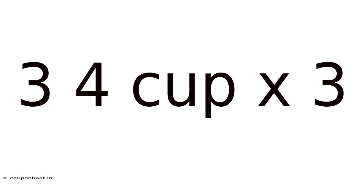 3 4 Cup X 3