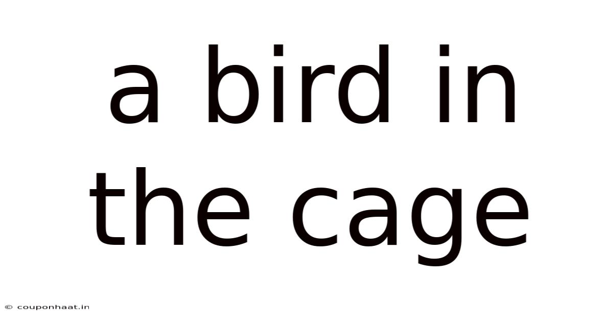 A Bird In The Cage
