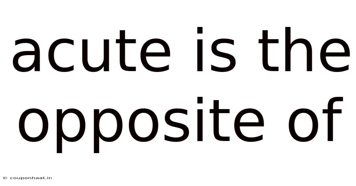 Acute Is The Opposite Of