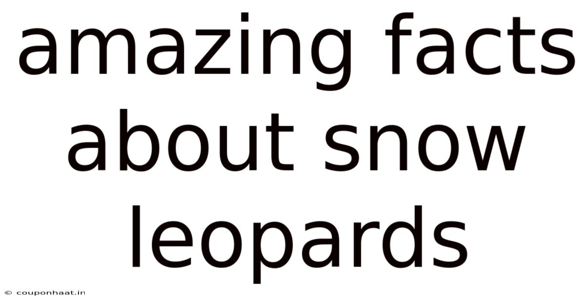 Amazing Facts About Snow Leopards