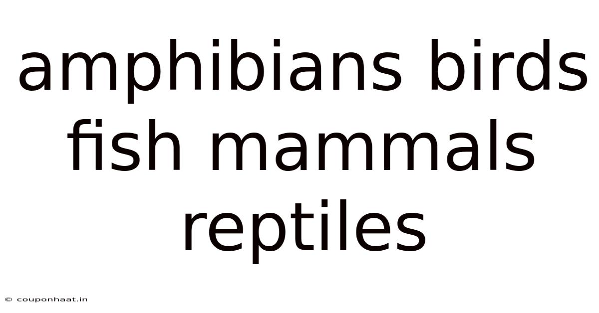 Amphibians Birds Fish Mammals Reptiles
