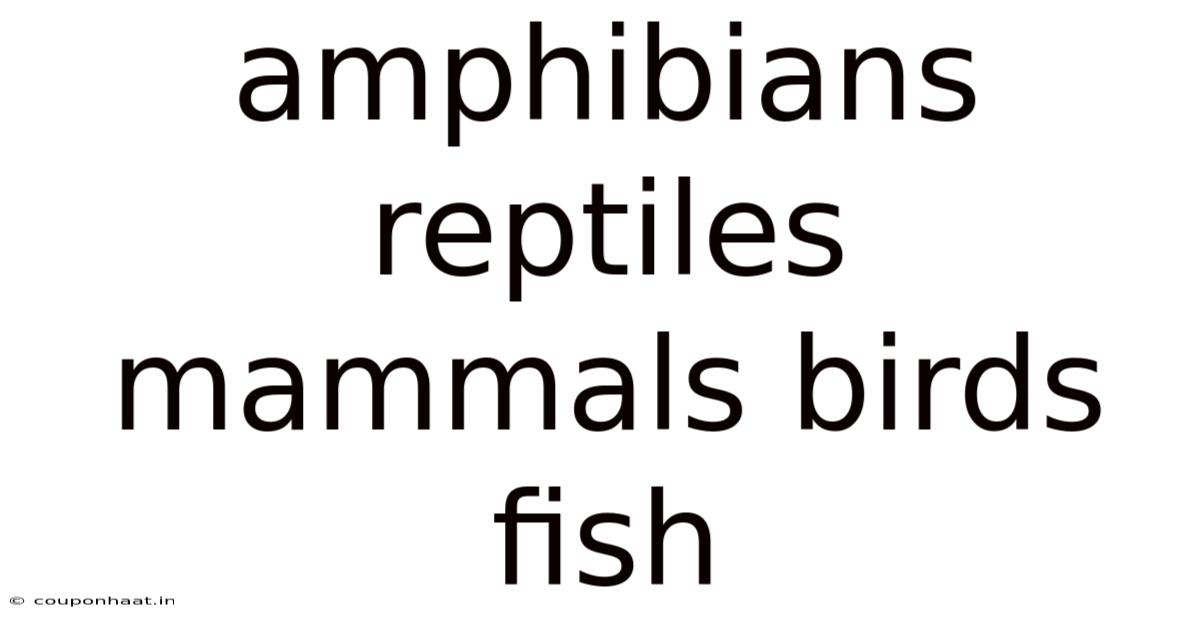 Amphibians Reptiles Mammals Birds Fish