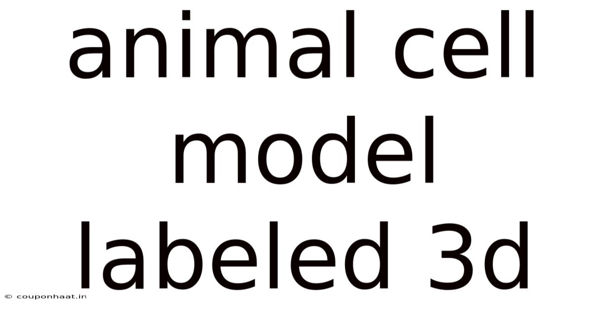 Animal Cell Model Labeled 3d