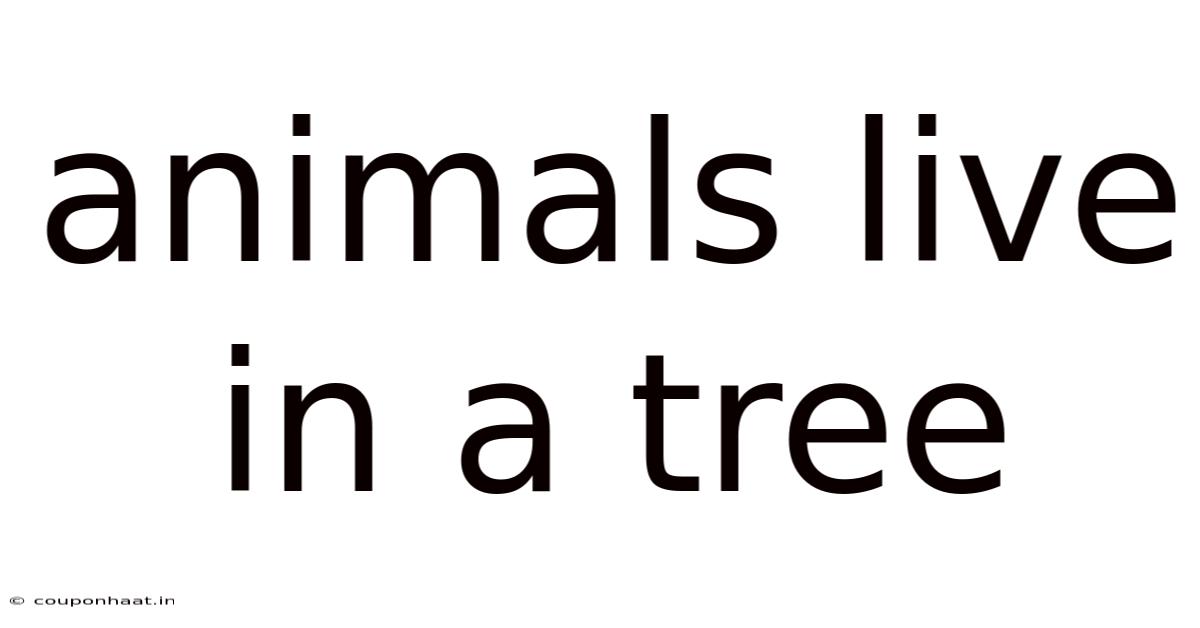 Animals Live In A Tree