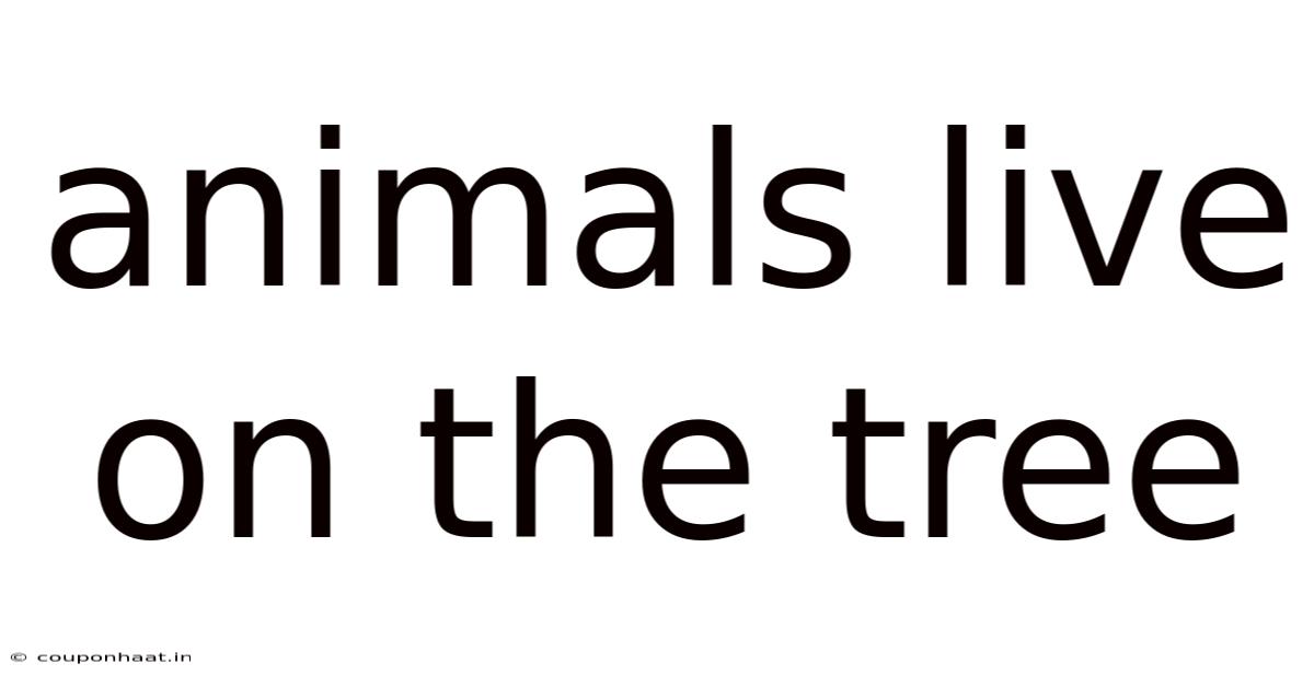 Animals Live On The Tree