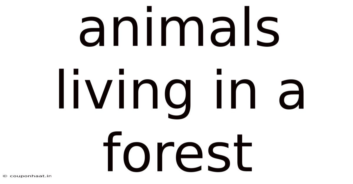 Animals Living In A Forest
