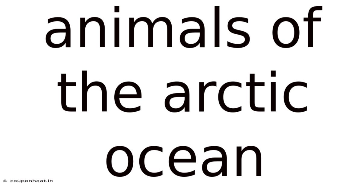 Animals Of The Arctic Ocean
