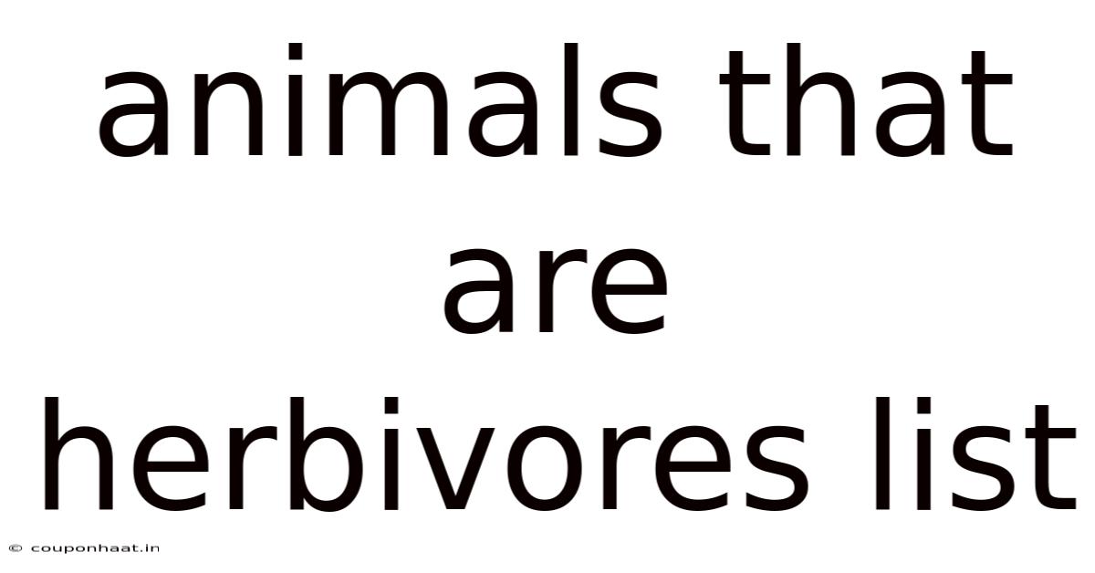 Animals That Are Herbivores List