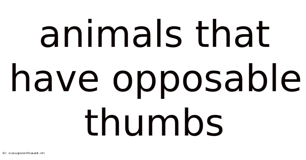 Animals That Have Opposable Thumbs