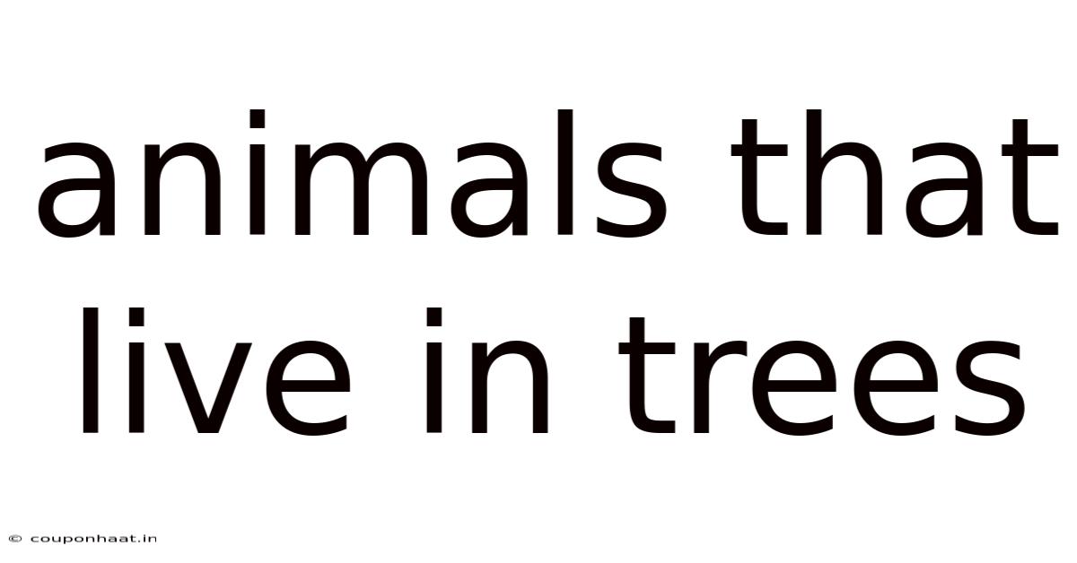 Animals That Live In Trees