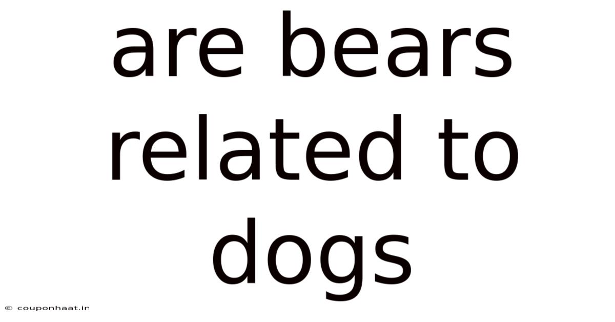 Are Bears Related To Dogs