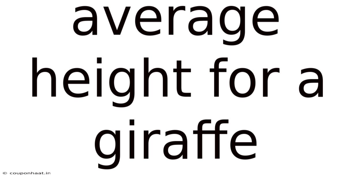 Average Height For A Giraffe