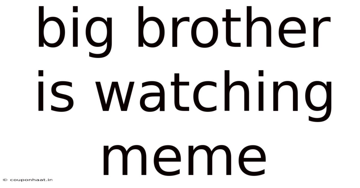 Big Brother Is Watching Meme