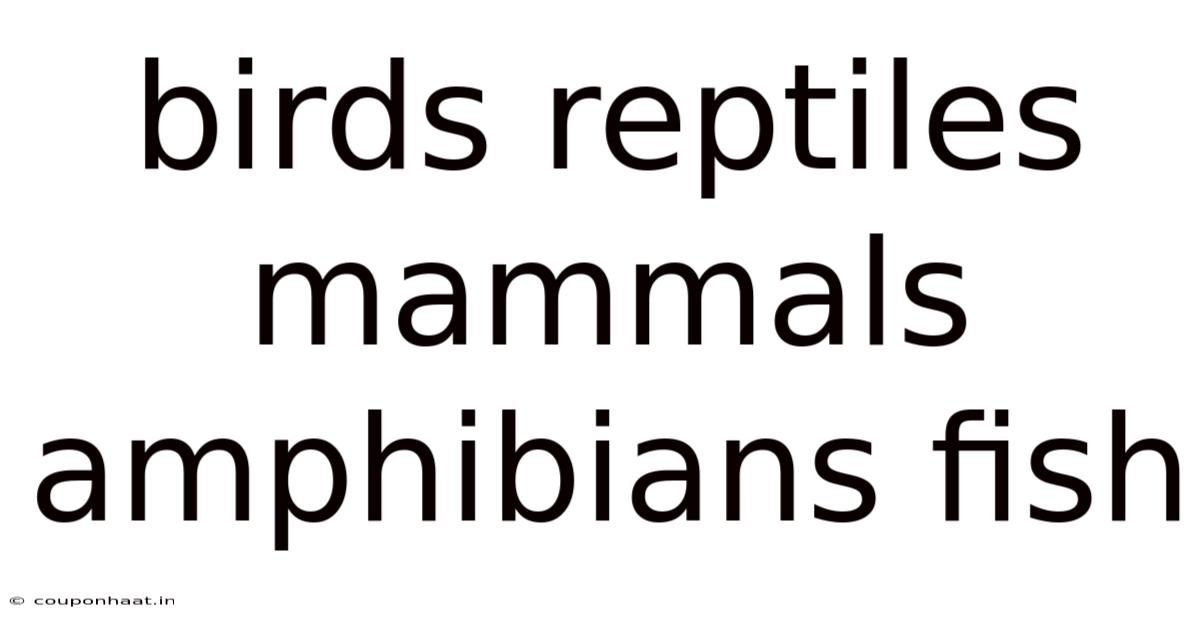 Birds Reptiles Mammals Amphibians Fish