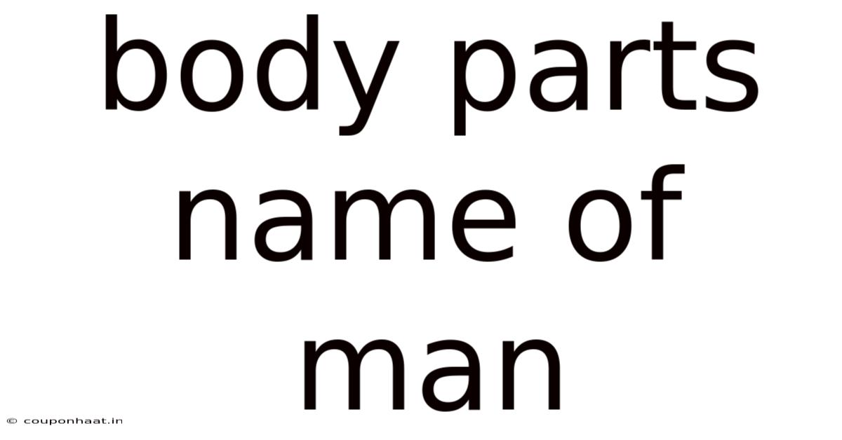 Body Parts Name Of Man