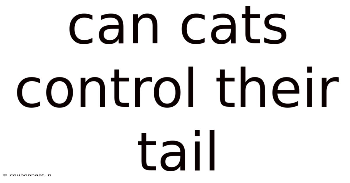 Can Cats Control Their Tail