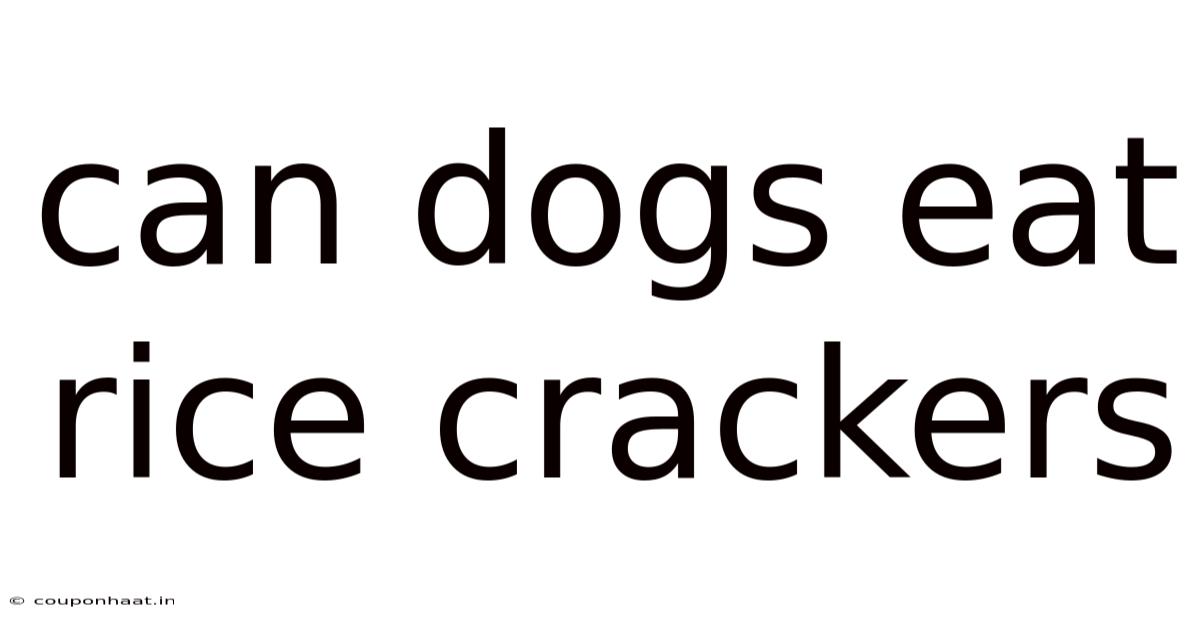 Can Dogs Eat Rice Crackers