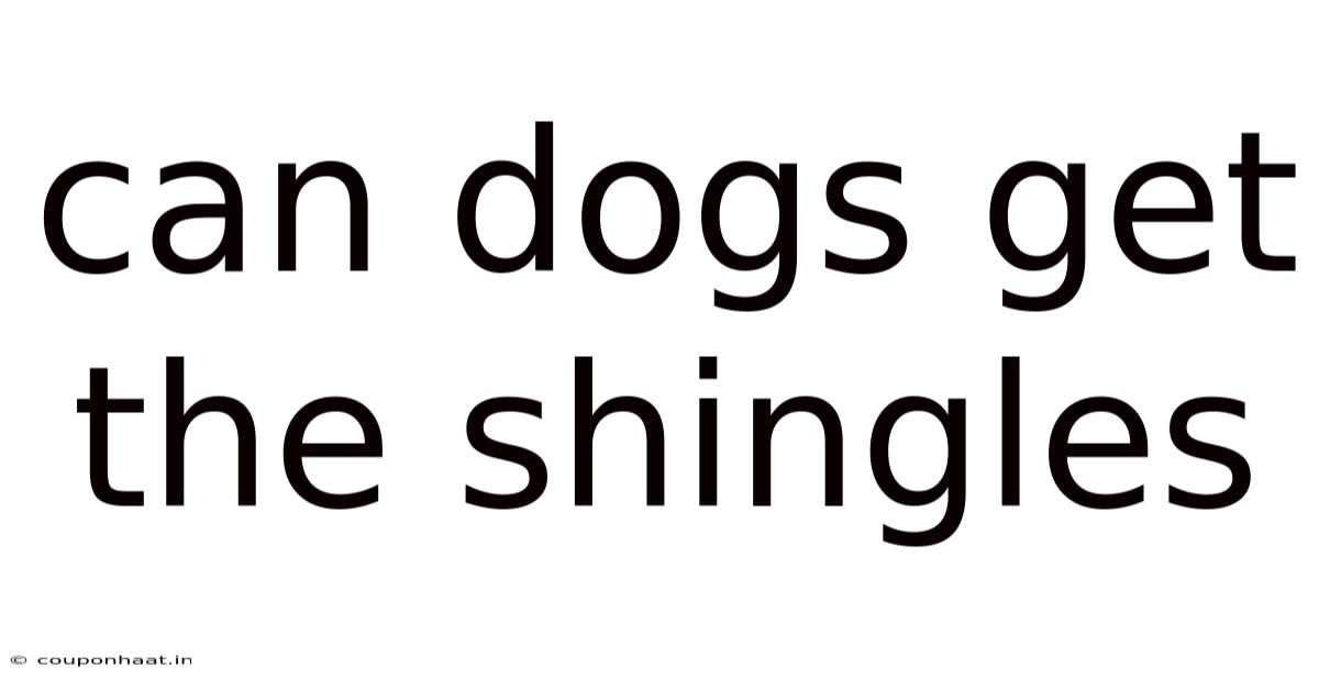 Can Dogs Get The Shingles