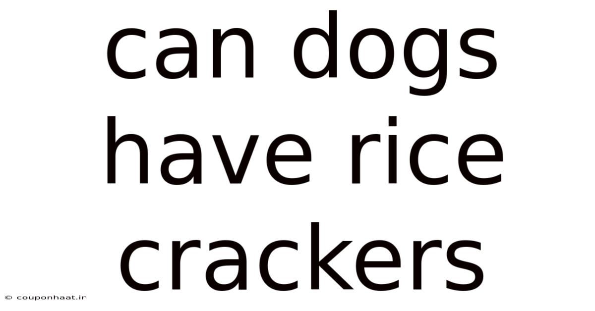Can Dogs Have Rice Crackers