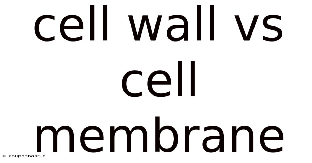Cell Wall Vs Cell Membrane