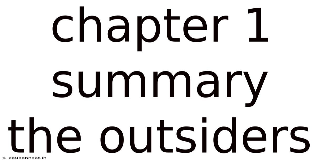 Chapter 1 Summary The Outsiders