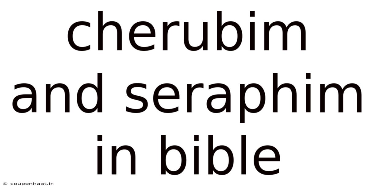 Cherubim And Seraphim In Bible