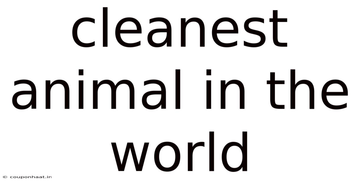 Cleanest Animal In The World