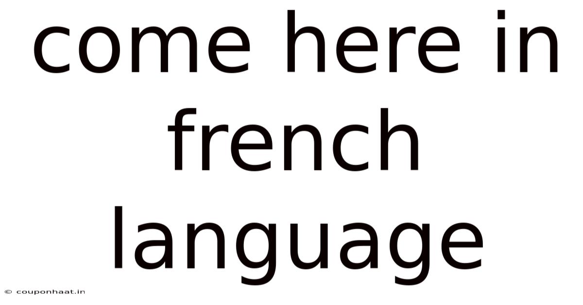 Come Here In French Language