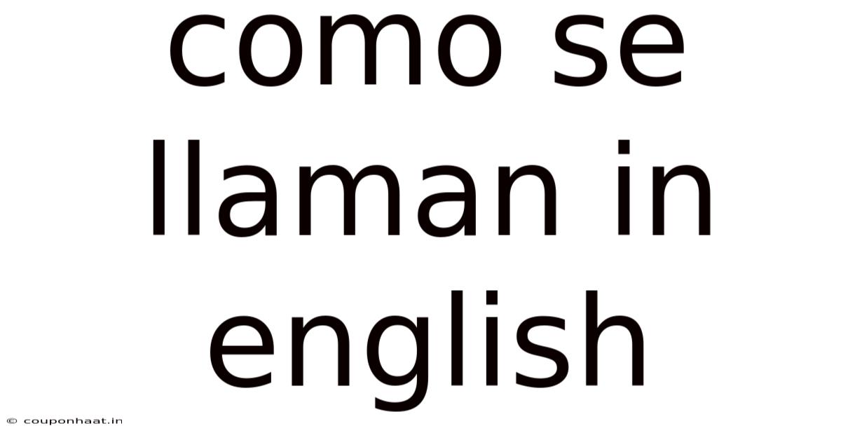 Como Se Llaman In English