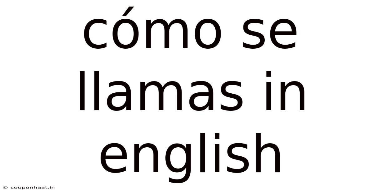 Cómo Se Llamas In English