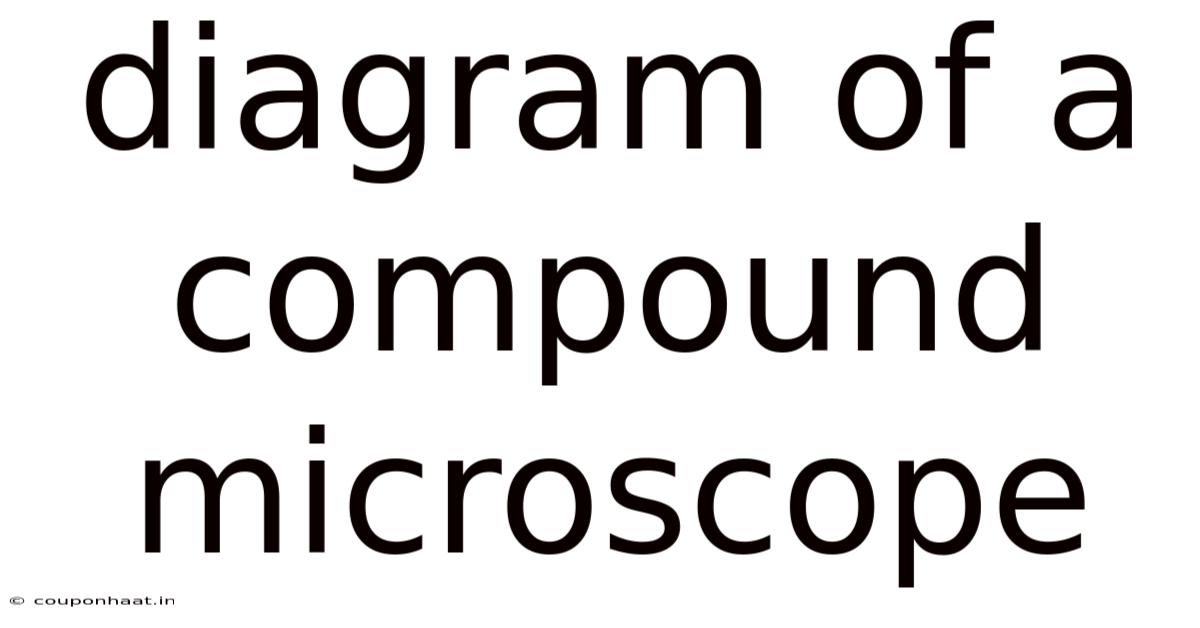 Diagram Of A Compound Microscope