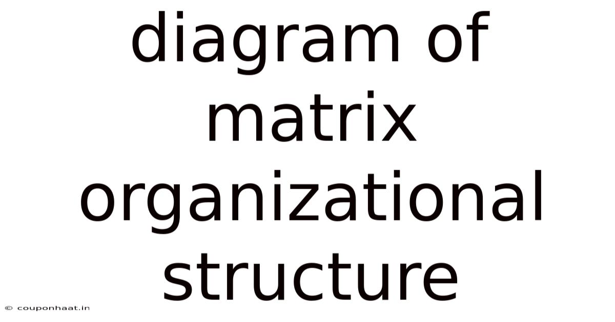 Diagram Of Matrix Organizational Structure