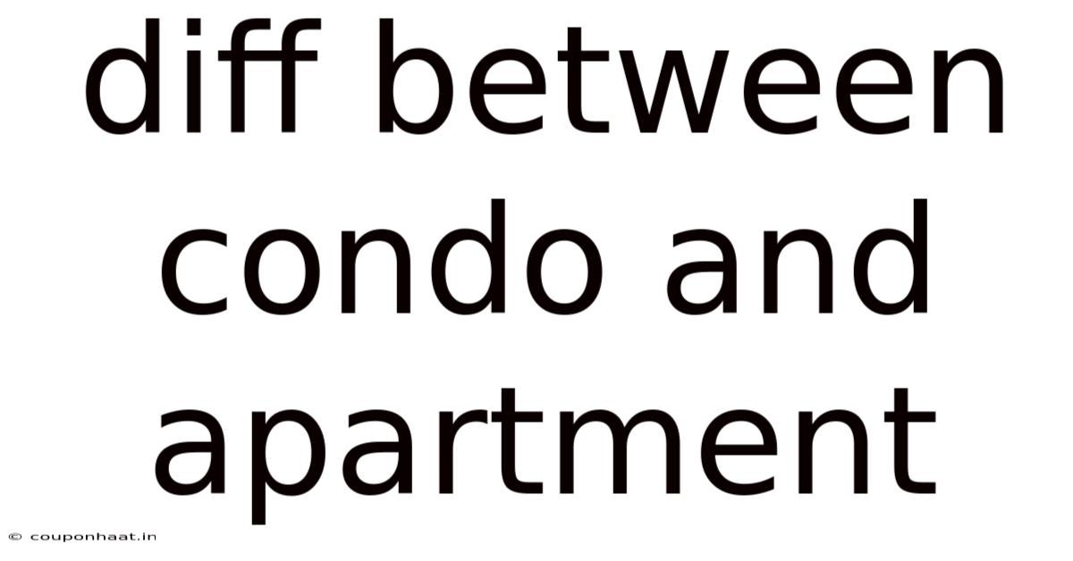 Diff Between Condo And Apartment