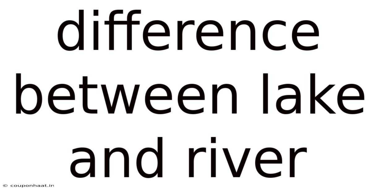 Difference Between Lake And River