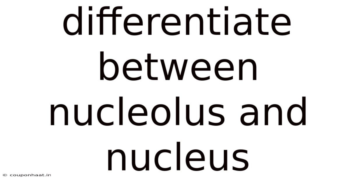 Differentiate Between Nucleolus And Nucleus