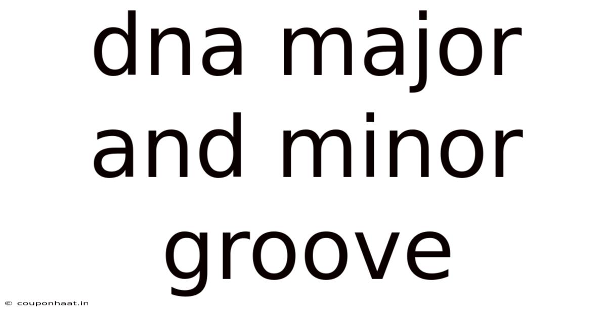 Dna Major And Minor Groove