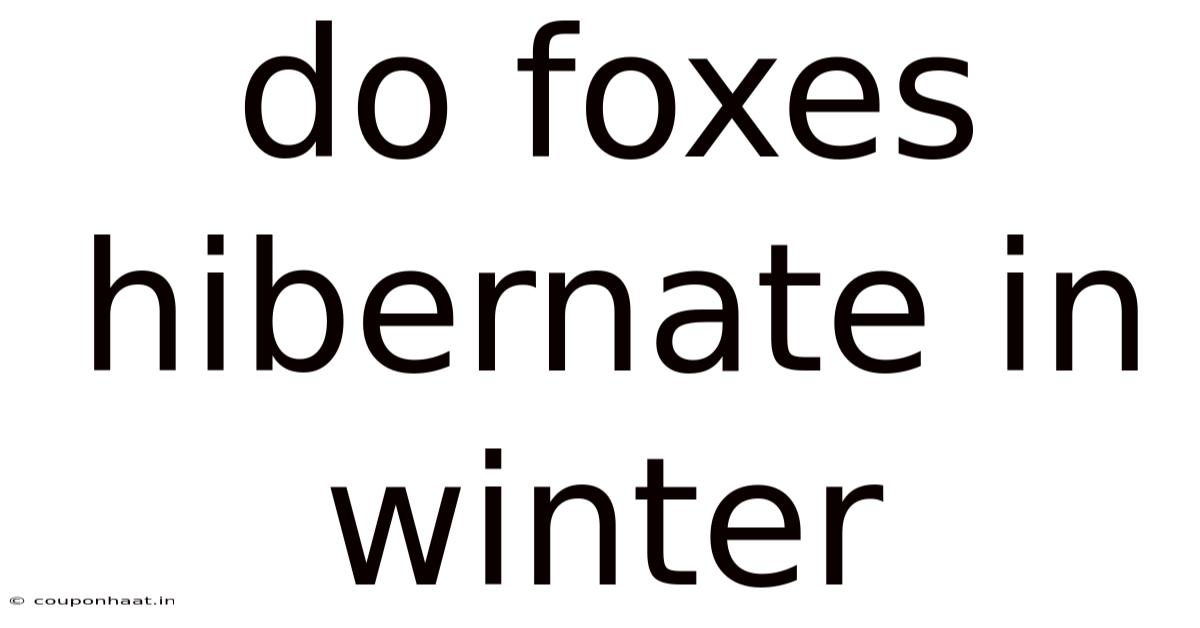 Do Foxes Hibernate In Winter
