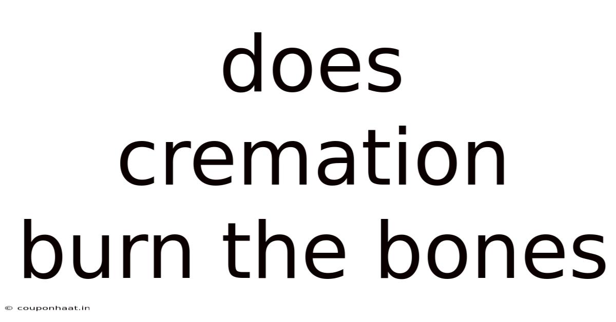 Does Cremation Burn The Bones