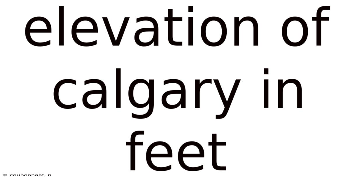 Elevation Of Calgary In Feet