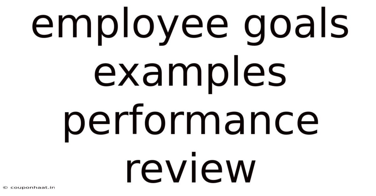 Employee Goals Examples Performance Review