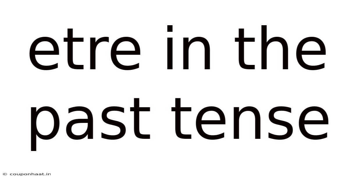 Etre In The Past Tense