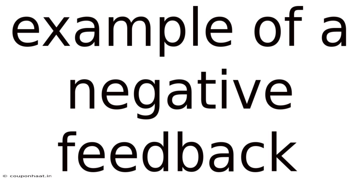 Example Of A Negative Feedback