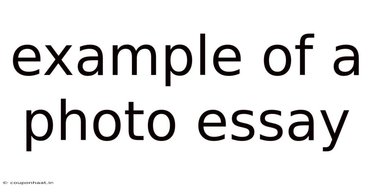 Example Of A Photo Essay