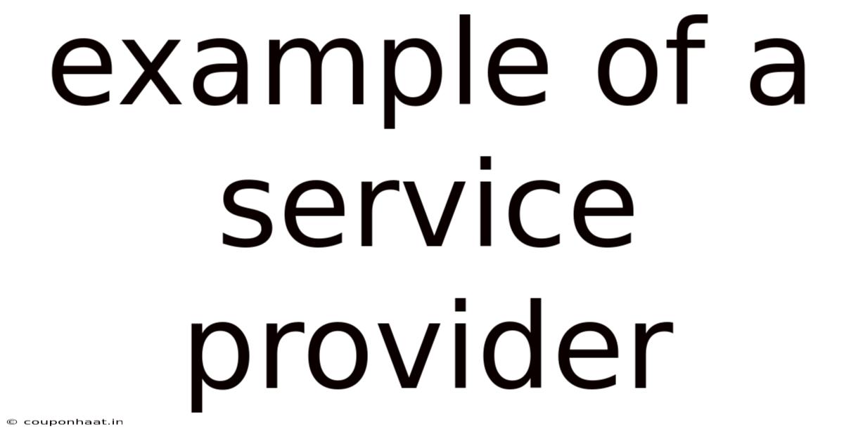 Example Of A Service Provider