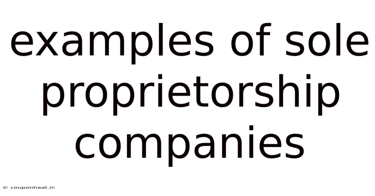 Examples Of Sole Proprietorship Companies
