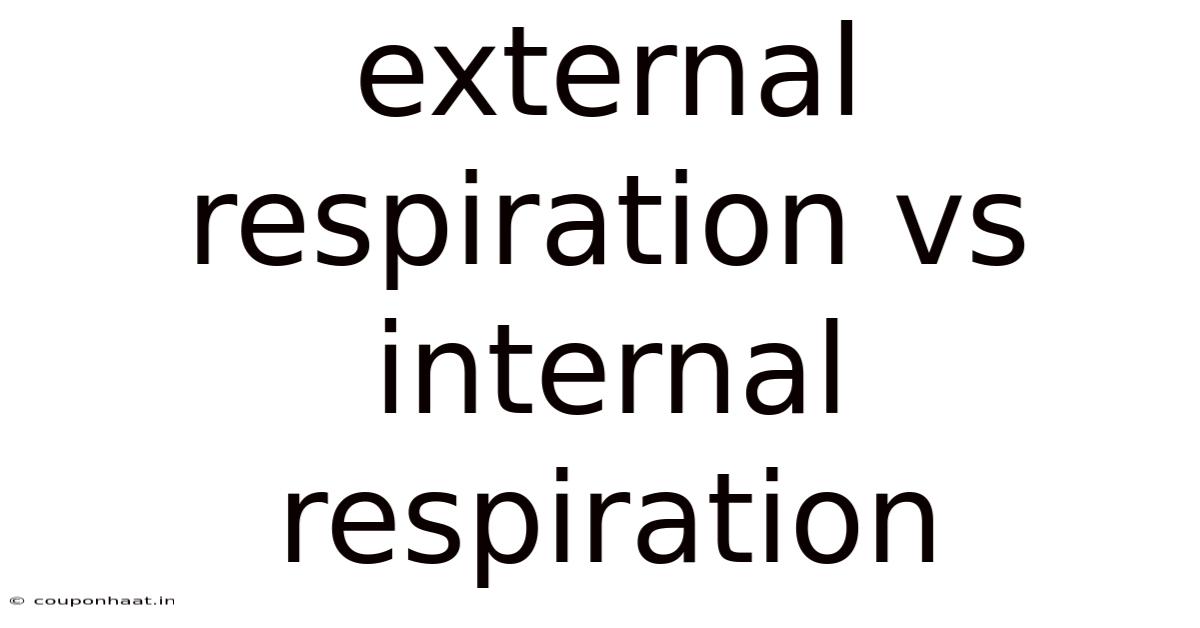External Respiration Vs Internal Respiration